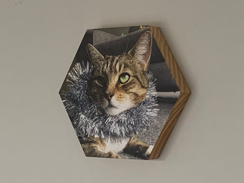 Picture block - Pine Wooden Hexagon
